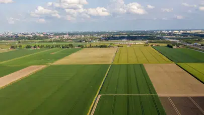 Amatör ruhla profesyonel başarıya imza atan Zan Zuzek kimdir?