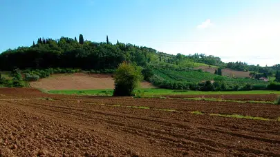 Hakkâri, Arazi Yatırımlarında %85 Artış ile Türkiye İkincisi Olmayı Başardı mı?