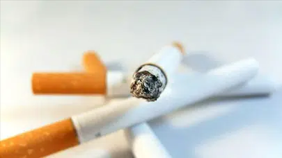 Sigara dumanı araştırmasında Türkiye'de üretilen ürünler dikkat çekti