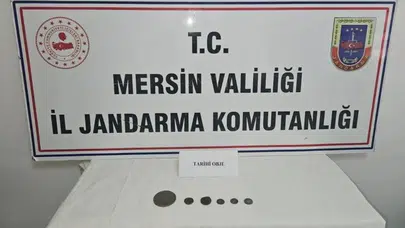 Mersin'de tarihi eser operasyonu