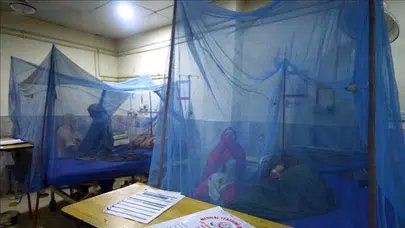 Afrika ülkesinde dang humması salgını: Çok sayıda can kaybı!