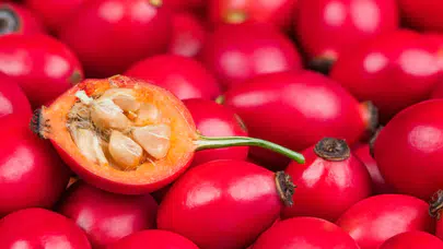 Acerola Nedir ve Neden Bu Kadar Önemli? C Vitamini İçeriği ile Dikkat Çekiyor