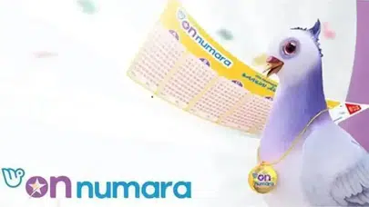 On Numara sonuçları nereden ve nasıl sorgulanır? MPİ On Numara sonuçları öğrenme ekranı