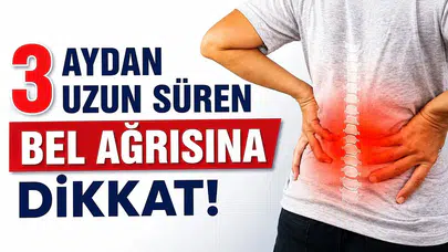 3 Aydan Uzun Süren Bel Ağrısı Hangi Hastalığın Belirtisi Olabilir?