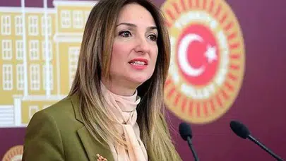 Aylin Nazlıaka Kimdir ve Neden CHP'den İhraç Edildi ?
