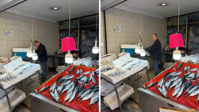 Palamut fiyatları düştü: Tanesi 50 TL'den satılmaya başladı