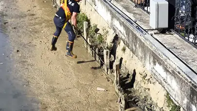 Yalova'da Balçıkla Kaplı Dere Yatağında Mahsur Kalan Kediler Nasıl Kurtarıldı ?