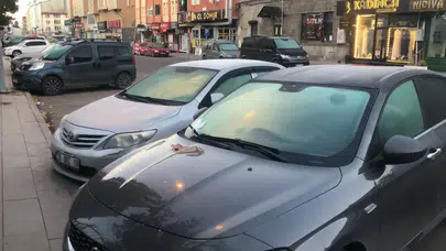 Kars'ta dondurucu soğuk