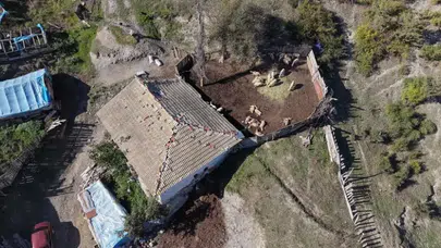 Kastamonu'da ahıra kurtlar girdi: 18 koyun telef oldu, 11'i yaralı