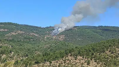 Bursa'da ormanlık alanda yangın çıktı