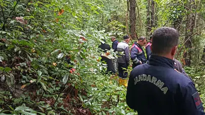 Sakarya'nın Sapanca İlçesinde Ormanlık Alanda Kaybolan Kişinin Cansız Bedeni Bulundu