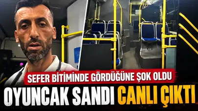 Antalya'da Halk Otobüsünde Unutulan Köpek Sahibini Şaşırttı