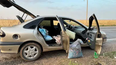 Şanlıurfa'da 4 Fıstık Hırsızı Suçüstü Yakalandı