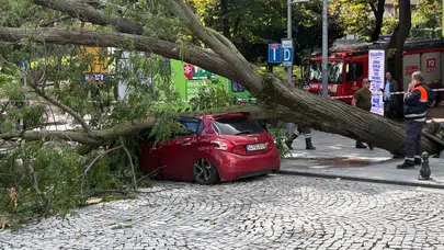 Şişli'de Park Halindeki Otomobilin Üzerine Ağaç Devrildi
