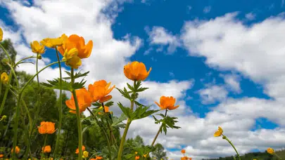 Üçüncü cemre toprağa ne zaman düşecek? Cemre tarihleri hakkında neler biliniyor?
