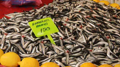 Hamsi fiyatları Menteşe'de neden 150 liraya geriledi? Balık tezgahlarında neler oluyor?