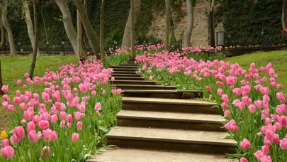 Akaryakıt fiyatlarında son durum : Benzin, motorin ve LPG ne kadar?