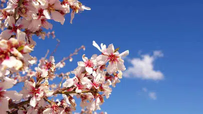 İkinci cemre ne zaman, ayın kaçında düşecek?