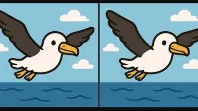 İki Resim Arasında Gizli Farkları Bulabilecek Misiniz?