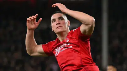 Nikola Milenkovic kimdir ve kariyeri boyunca hangi başarıları elde etti?