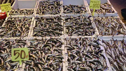 Av yasağı ne zaman başlayacak ve Trabzon'da balık tezgahlarında neler oluyor?