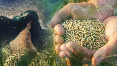 İran'daki savaş gübre krizine neden oluyor mu? Gıda fiyatları nasıl etkilenecek?