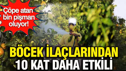 Portakal Kabukları, Böcek İlaçlarından Daha mı Etkili? İşte Gizli Gücü!