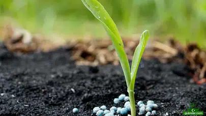 Orta Doğu'daki Savaş Gübre Piyasasını Vurdu : Fiyatlar Hızla Yükseliyor!