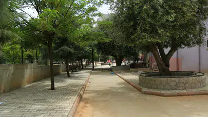 Fatsa'da Meydana Gelen Trafik Kazasında Hakan Baş Hayatını Kaybetti