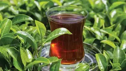 Trabzon'da Çaya Zam Geldi Mi? Kuru Çay Fiyatları Ne Kadar Oldu?