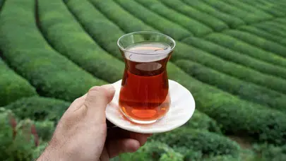 Hamamyolu’nda Bu Yaz Çay Fiyatları Ne Kadar Olacak?