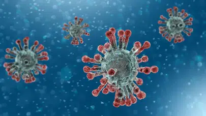 250 Yıllık Nezle Virüsü Nasıl Diriltildi ve Tarihin En Eski Viral RNA'sı Nasıl Bulundu?