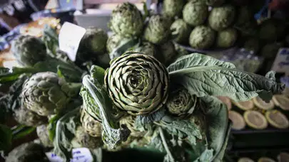İzmir'de 'çılgın sebze' mesaisi! Enginarın faydaları nelerdir?