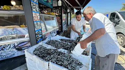 Zonguldak'ta İstavrit Bolluğu: Fiyatlar Neden Düşüyor?