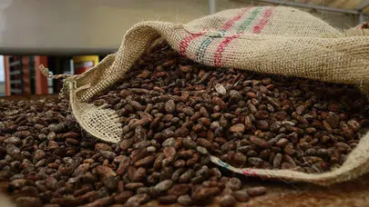 Küresel Emtia Piyasasında Kahve Fiyatları Neden Dalgalanıyor?