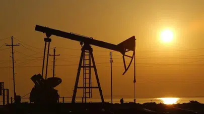 Şanlıurfa'da 16 kişinin yaralandığı okul saldırısı: Zanlı saldırıdan 1 gün önce serbest bırakılmış