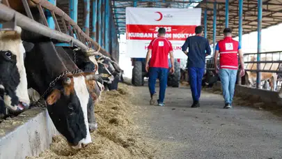 Kızılay 2026 Kurban Vekâlet Ücretleri Ne Kadar ve Nasıl Bağış Yapılır?