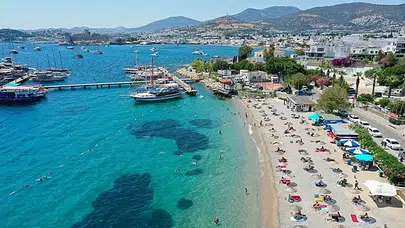 Bodrum’da plaj fiyatları ne kadar oldu? Kişi başı 2 bin 500 TL'den başlıyor