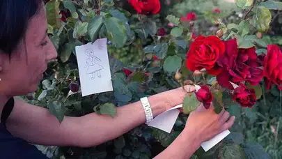 Hıdırellez Dilek Duası Nasıl Yapılır ve Kaç Kere Okunmalıdır?