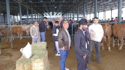 Eskişehir'de kurban pazarı hareketlendi: Büyükbaş ve küçükbaş fiyatları ne kadar?
