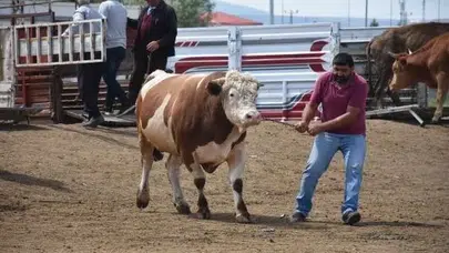 Kurban Bayramı'nda sokakta kurban kesmenin cezası nedir?