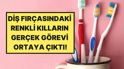 Diş hekimleri açıkladı : Diş fırçası kıllarının renkleri aslında ne anlama geliyor?