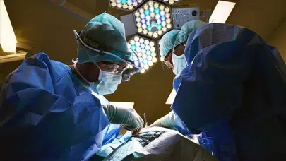 Tıp dünyasında bir ilk: Aynı anda üç domuz organı nakli mümkün