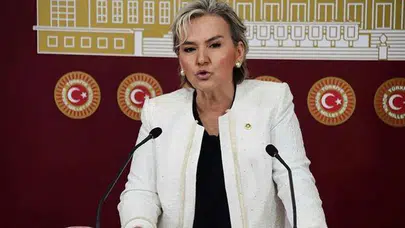 Nimet Özdemir kimdir, kaç yaşında ve nereli? Neden CHP'den istifa etti?
