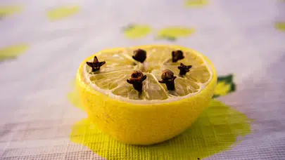 Sivrisineklerden doğal korunma yöntemi nedir?