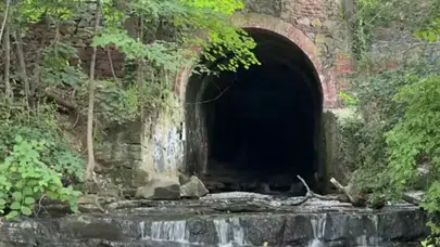 New York'ta okul gezisi sırasında 71 öğrenci yeraltı tünellerinde nasıl kayboldu?
