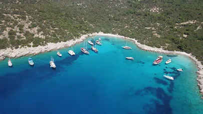 Bodrum'da tekne ve yat turlarında fiyatlar neden bu kadar yükseldi?