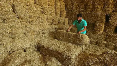Yem fiyatlarında düşüş! Saman fiyatları yarı yarıya geriledi