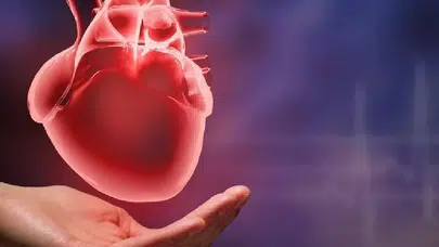 Kalp sağlığını genç tutmanın yolu nedir? Evde yoga pratiği öne çıkıyor