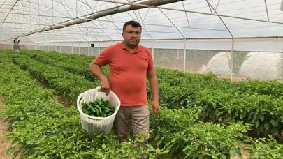 Proje okulları atama sonuçları neden açıklanmadı ve ne zaman açıklanacak?